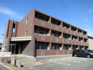 FOREST HILLSの画像