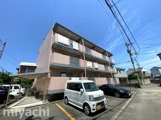 徳島県徳島市富田橋5【マンション】の外観