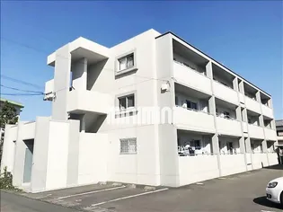 ブランの画像