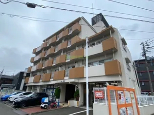 ドミール石川【2階】の外観