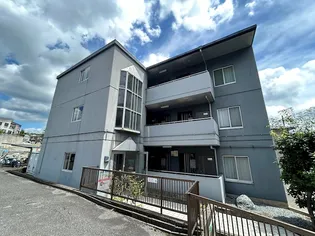 ラベンダー90の画像