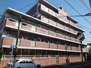 シー グレースの画像