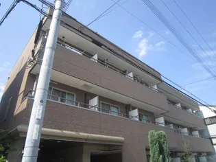 サン ブルームの画像