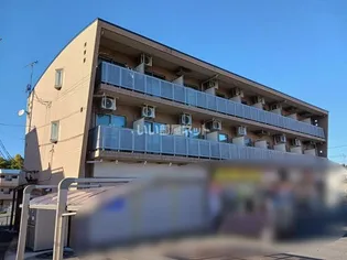 クリサンテーム21の画像