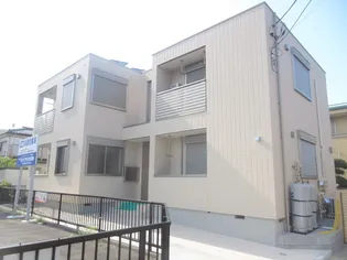 NEW VALLEY ニューヴァレーの画像