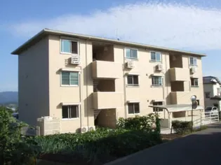 ベラビスタSの画像