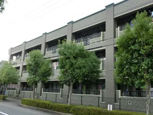 グライス武藤の画像