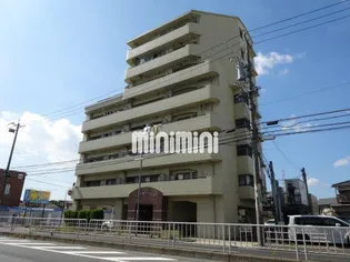 第2アイリス近藤の画像