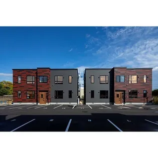 アレックスコレーガDの画像