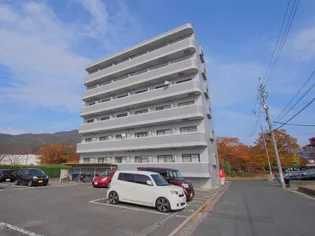 アルジェント21の画像