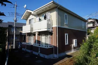 ボニートの画像