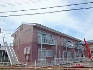ニューシティ土器Aの画像
