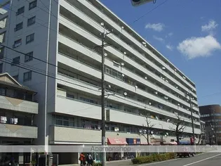木之本アイリスの画像