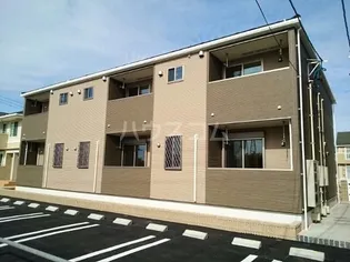 カームパインツリー21 Bの画像