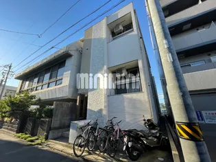 ダフォディルの画像