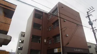 レイクヒルY’s【4階】の外観