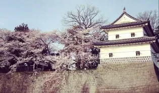 インペリアル【1階】の周辺