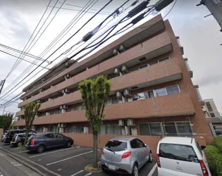 フレイグラントオリーブの画像