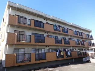 サンパレスセイワの画像