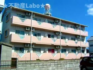 徳島県徳島市応神町古川字東【マンション】の外観