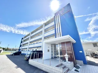 シエルオカモトの画像