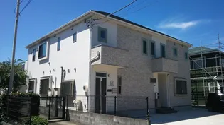 サイプレスの画像