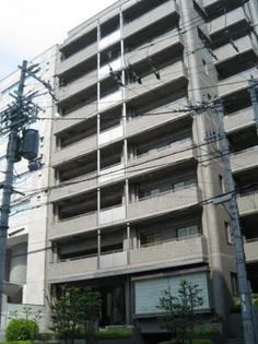 ハイランドコート錦の画像