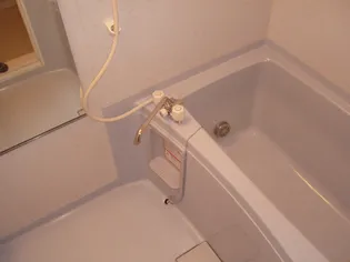 ロイヤルプレイス010の風呂