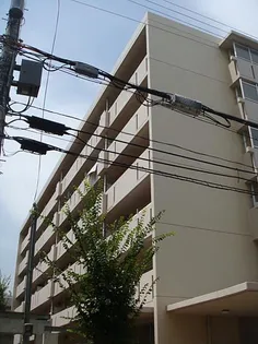 コーシャハイツ北山の画像