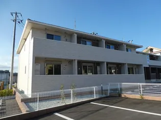 しいの木Aの画像