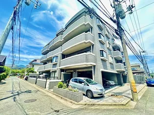 アダージョ ドゥーエの画像