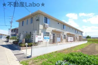 サクラディアの画像