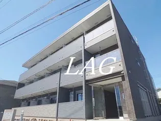 ヒプソフィアの画像