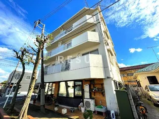 レミープライデK2の画像