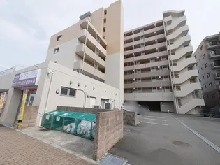 エヴァーグリーン新羽の画像