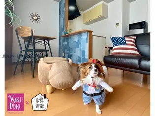 リバティーハイツの画像