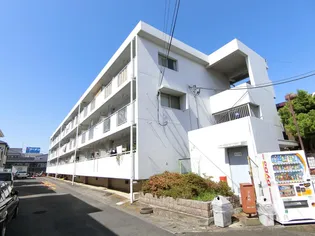 エイワンAの画像