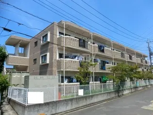 S SQUAREの画像