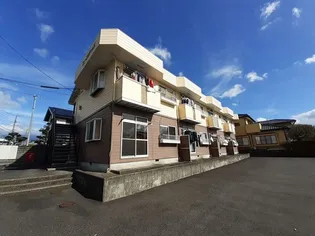 ニューエルディムKの画像