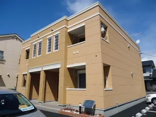 なでしこの画像