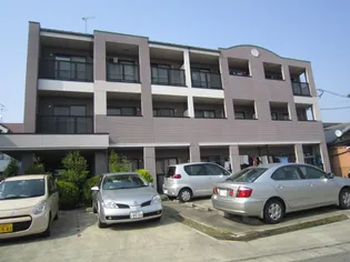 サザン上条の画像