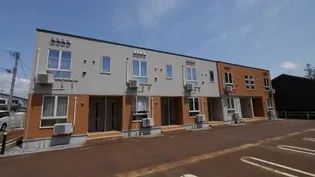 シャングリラ 越後屋の画像