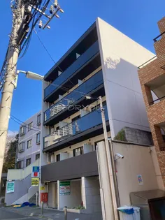 アルテシモカーロの画像