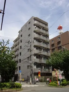 ベルグラン プルーネの画像