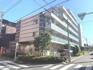 プライムコート成増の画像