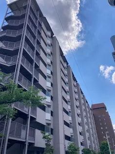 山科団地B棟の画像