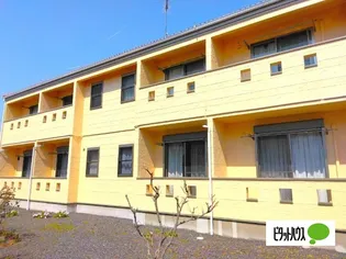 フラットMの画像