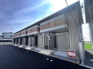 CHERRY BLOSSOM Bの画像