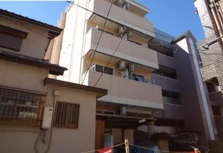 レスポール IIの画像