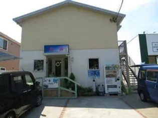 コスモスの画像